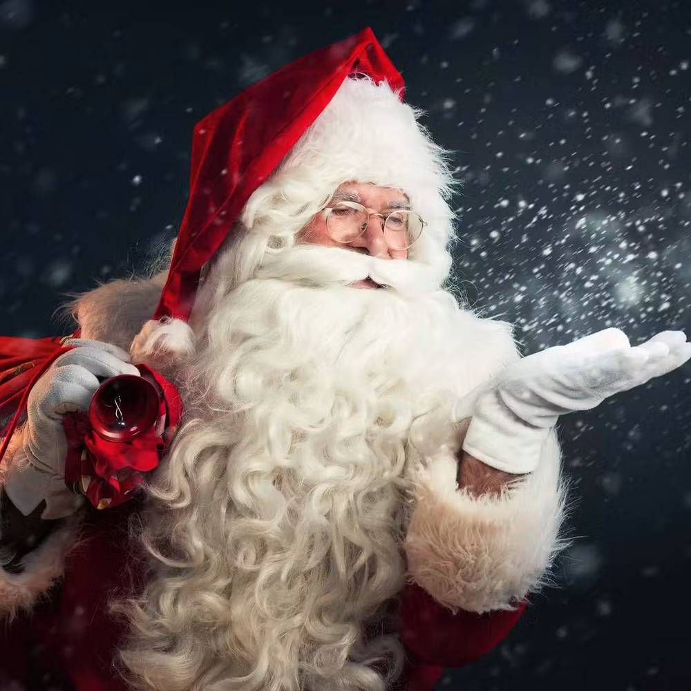 Christmas Fun Day (Santa visit, games and activities)