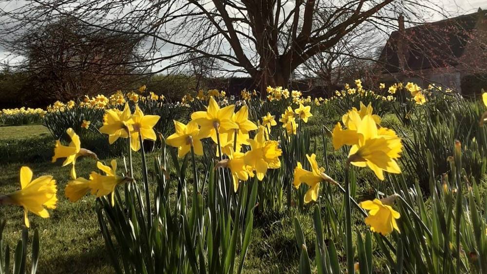 Arley Spring Plant Fair