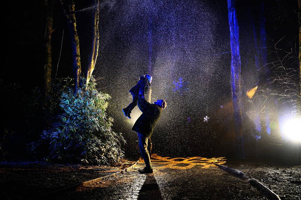 BeWILDerwood Presents Christmas (light trail, mini panto, Father Christmas)