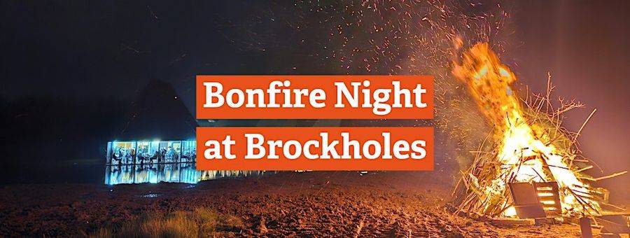 Bonfire Night at Brockholes (no-bang bonfire)