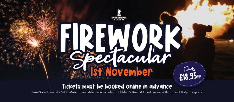 Bonfire and Firework Spectacular at Cannon Hall Farm (quiet fireworks, kids disco)