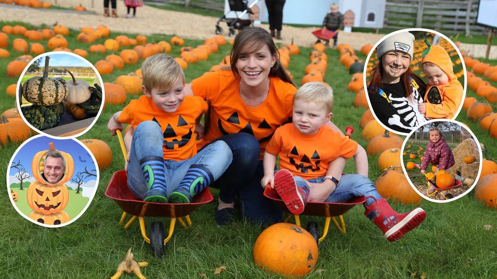 Pumpkin Patch at Cannon Hall Farm (free craft zone, VR spooky ride, farm admission included)