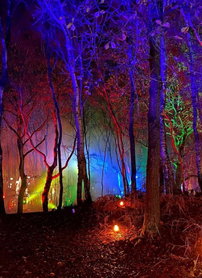 Magical Woodland Halloween