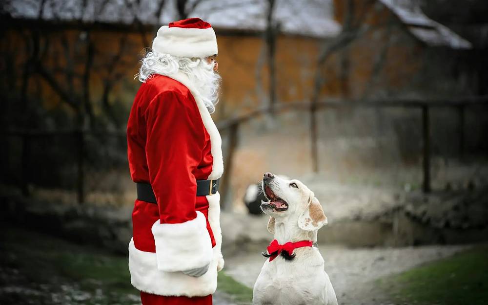 Christmas Market at The Dunham Barn (opening night and Sunday fairs)