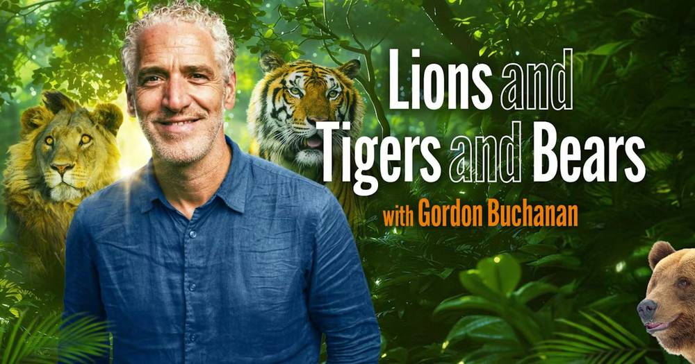 Gordon Buchanan: Lions and Tigers and Bears (wildlife filmmaker live)