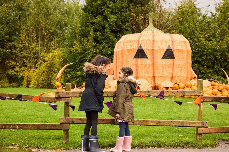 Halloween at Chester Zoo