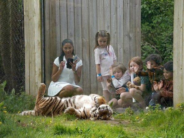 Halloween at Knowsley Safari
