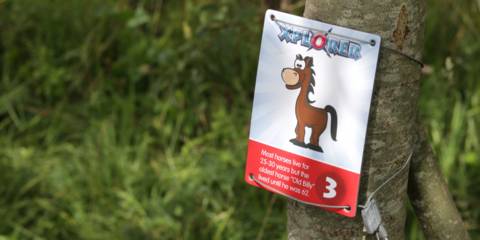 Halloween Xplorer Challenge at Brockholes (marker trail)