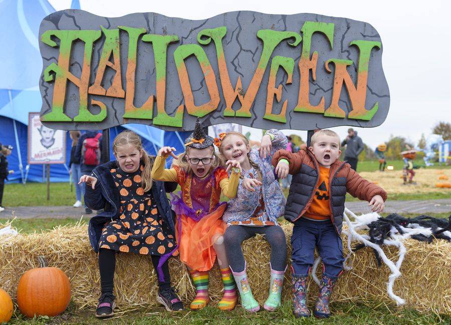 Halloween at Yorkshire Wildlife Park