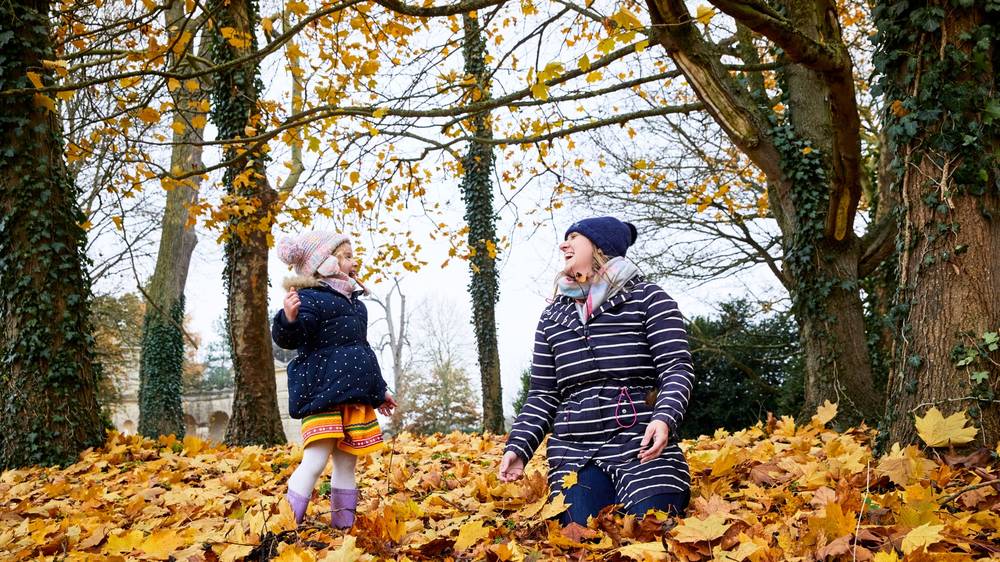 Escape into Autumn spotter trail