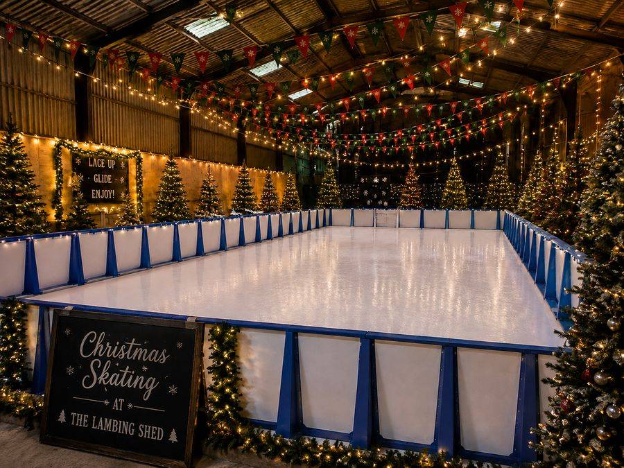 Festive Skating at The Lambing Shed (Christmas on the Farm)