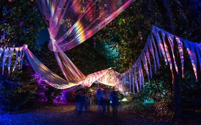 Magical Woodland at Christmas