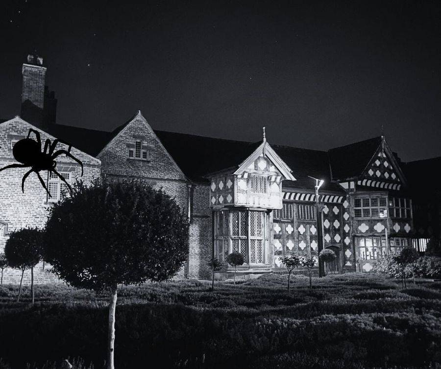 Halloween half term at Ordsall Hall (Find the Familiars trail, broomstick, wand and spell-book workshops)