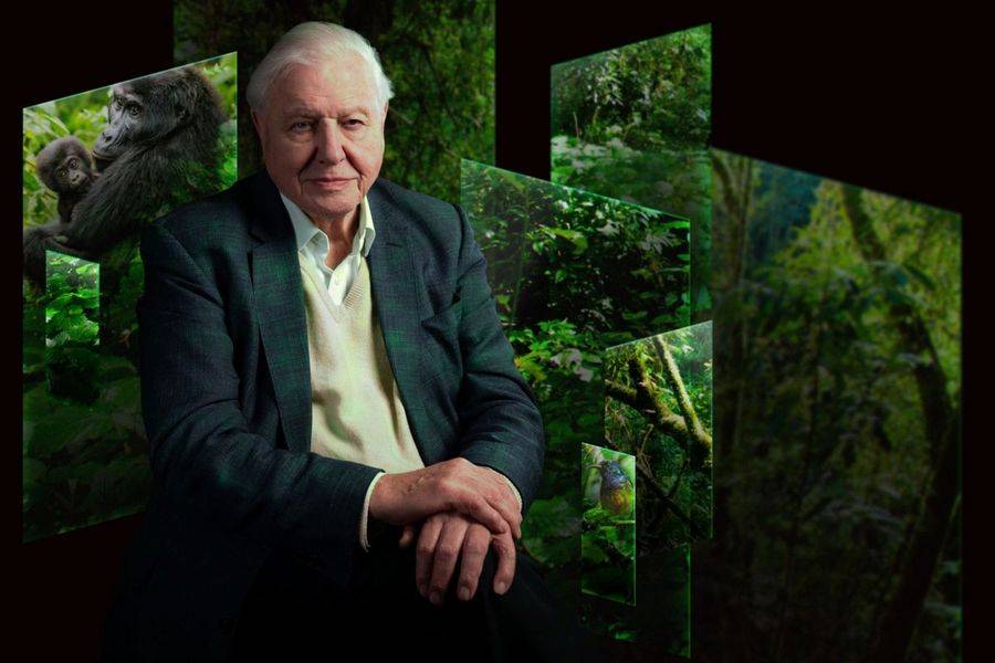 Our Story with David Attenborough (immersive experience)