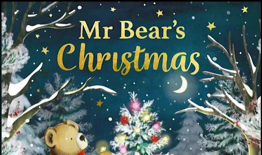 Mr Bear's Christmas - author storytime