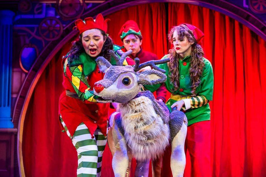 The Reindeer Who Saved Christmas