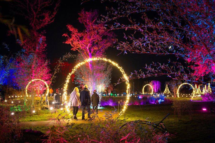 RHS Glow at RHS Garden Bridgewater
