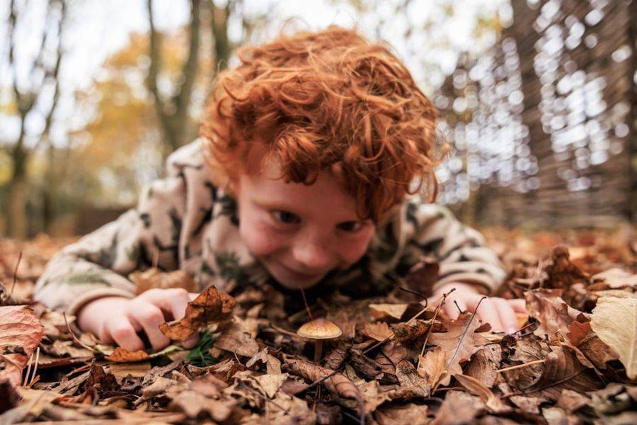 Spooky fun at RHS Bridgewater (Wicked Plants trail, ZooLab potions, spooky grass heads)