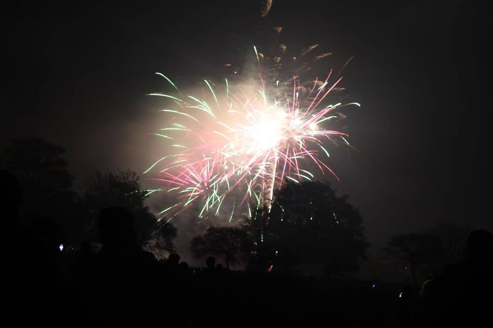 Salford Firework Weekend: Prince's Park (bonfire)