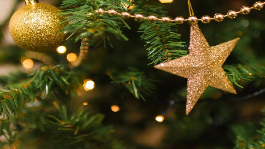Stockport Multicultural Christmas Concert