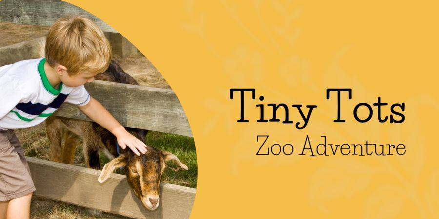 Tiny Tots Zoo Adventure