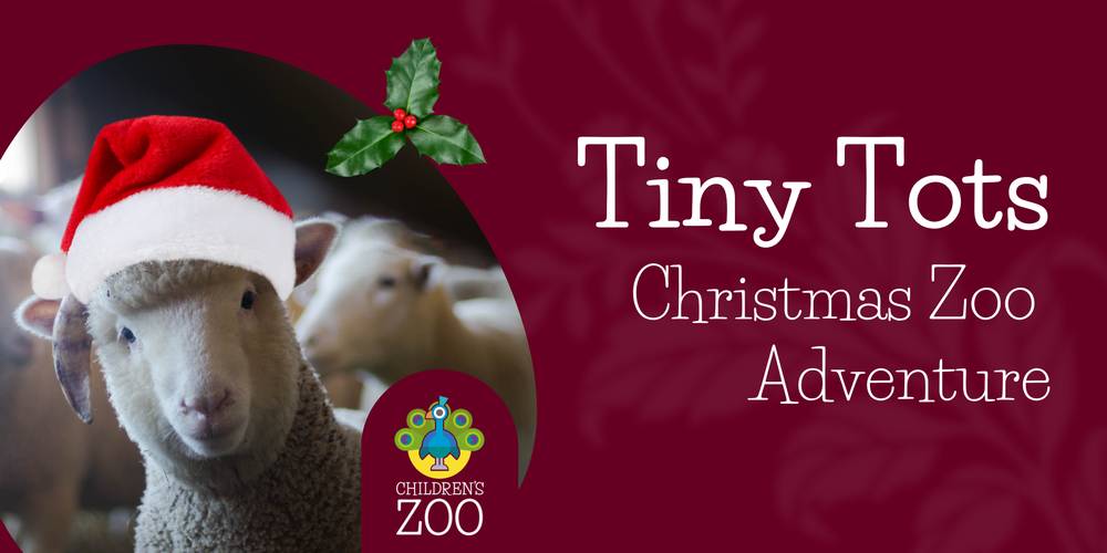 Tiny Tots Christmas Zoo Adventure (ages 3-5)