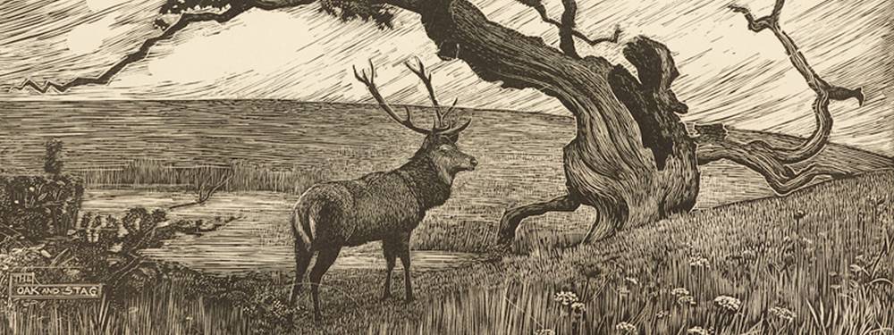 Performing Trees (free collection exhibition) - closes 4 April