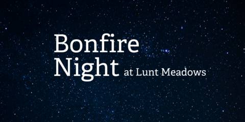 Wildlife-friendly Bonfire Night at Lunt Meadows (no fireworks, dog friendly)