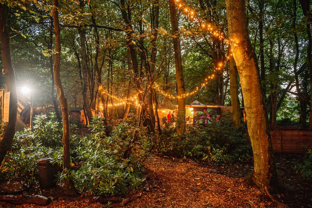 Wild's Halloween Extravaganza at Into the Wild