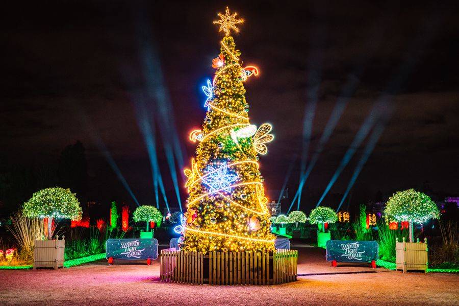 Trentham Winter Light Trail