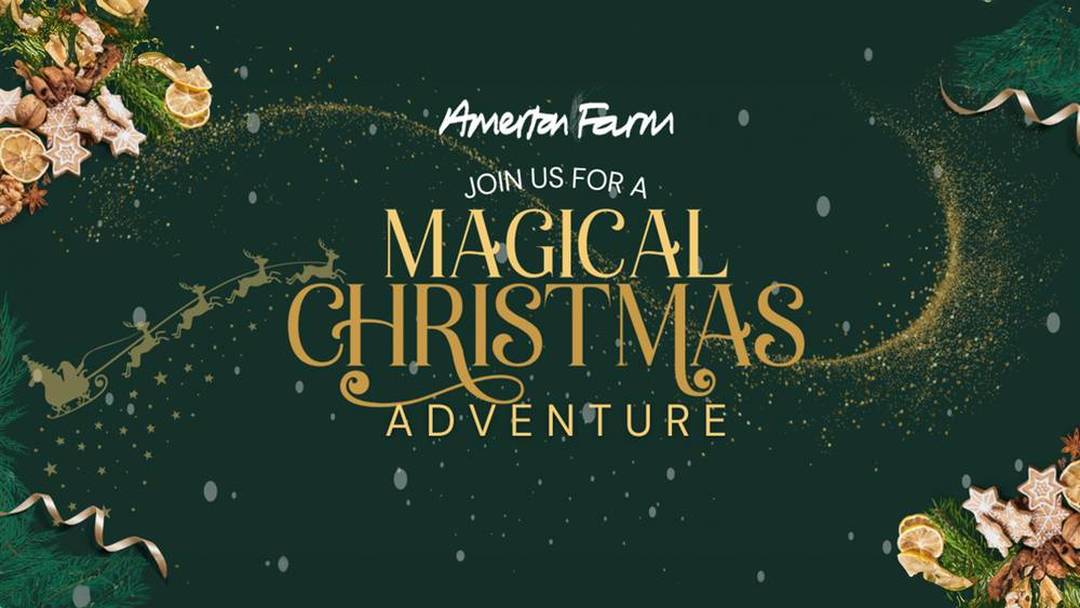 A Magical Christmas at Amerton Farm (Santa's toy shop and real reindeer)