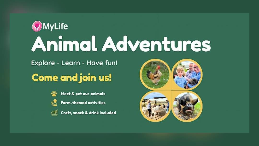 Animal Adventures on the farm (My Life Farm)