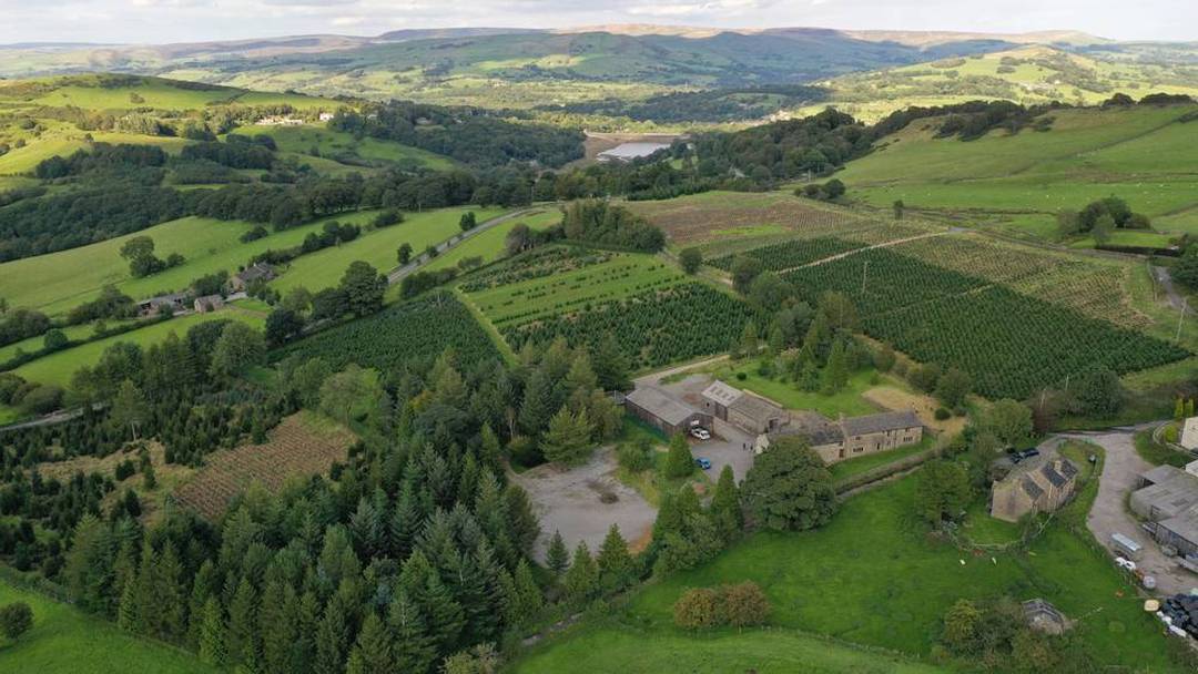 Clayton Fold Christmas Tree Farm (choose and cut in the Peak District)