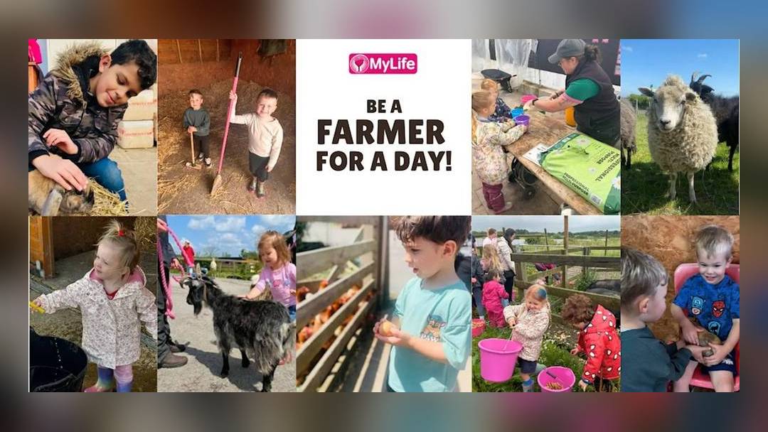 Farmer for the Day at My Life Farm