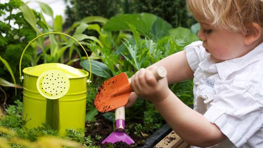 Grow Minis children's club