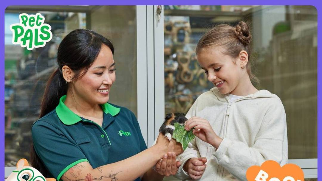 Pet Pals pet care workshop (half-term)