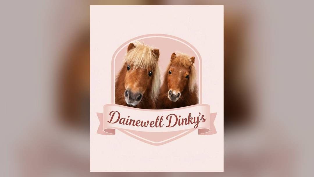 Pony Fun Sunday at Dainwell Dinky's