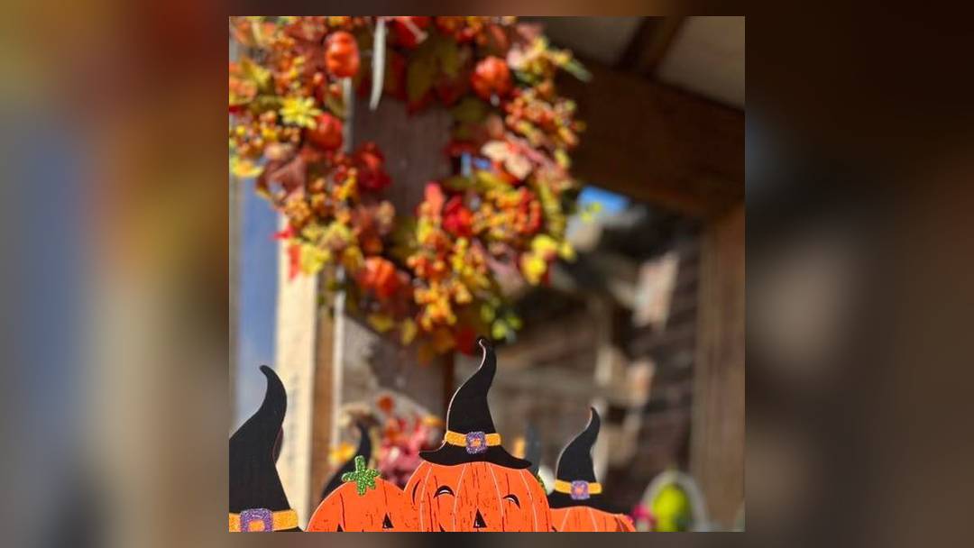 Pumpkin Patch