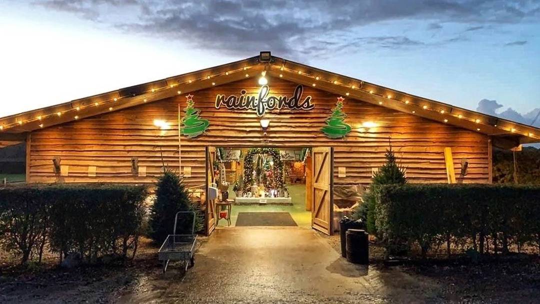 Rainfords Christmas Tree Farm (choose and cut)