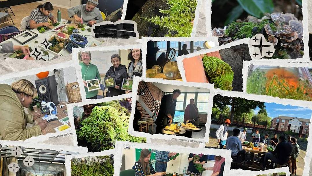Rewild Moss Side pop-up museum (free, all ages)