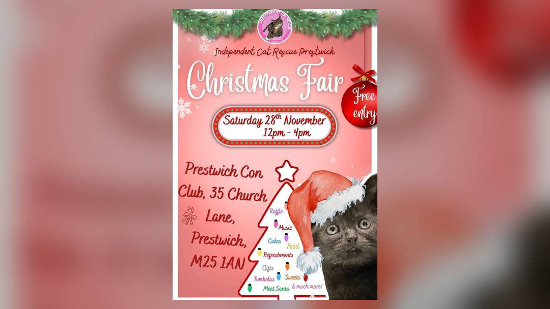 Santa at the Independent Cat Rescue Prestwich Christmas Fair