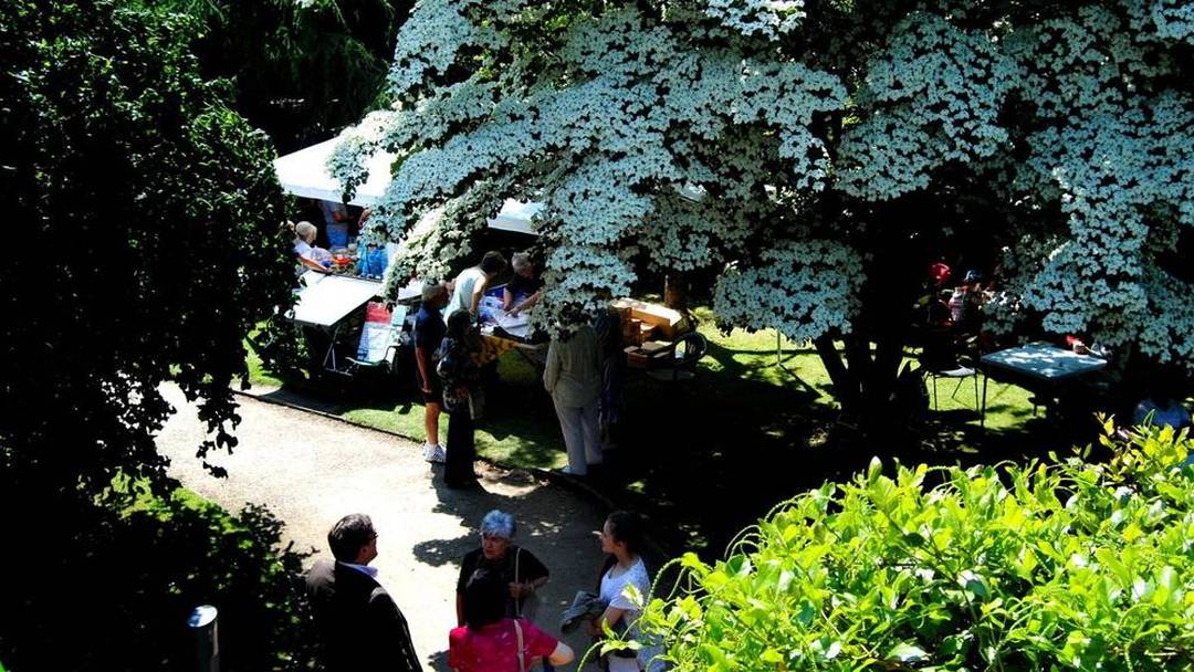 Santa's grotto and Christmas stalls at the Didsbury Parsonage