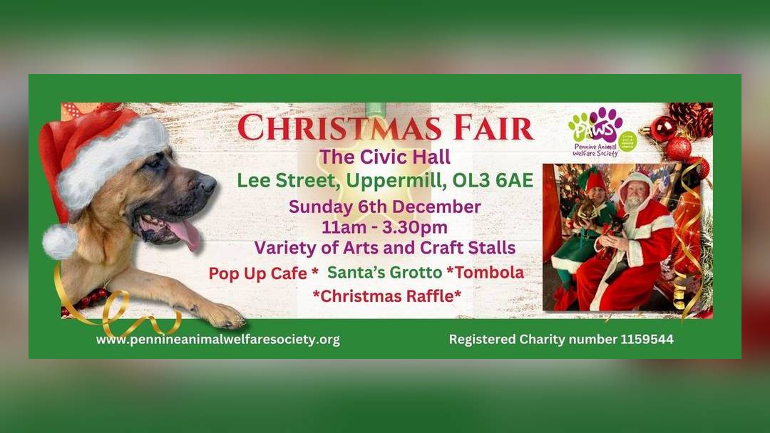 Santa's grotto at the PAWS Christmas Fair, Uppermill