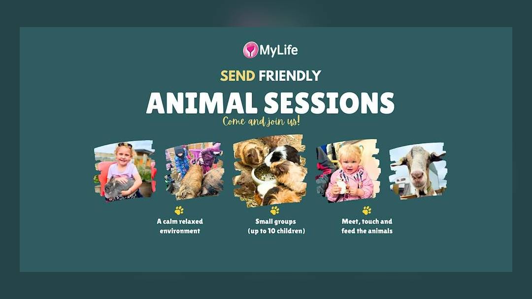 SEND-friendly animal sessions at Thompson House