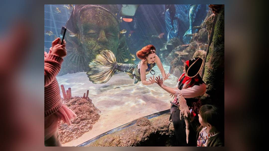 The Little Ocean Book Club at SEA LIFE Manchester (under-5s storytime)
