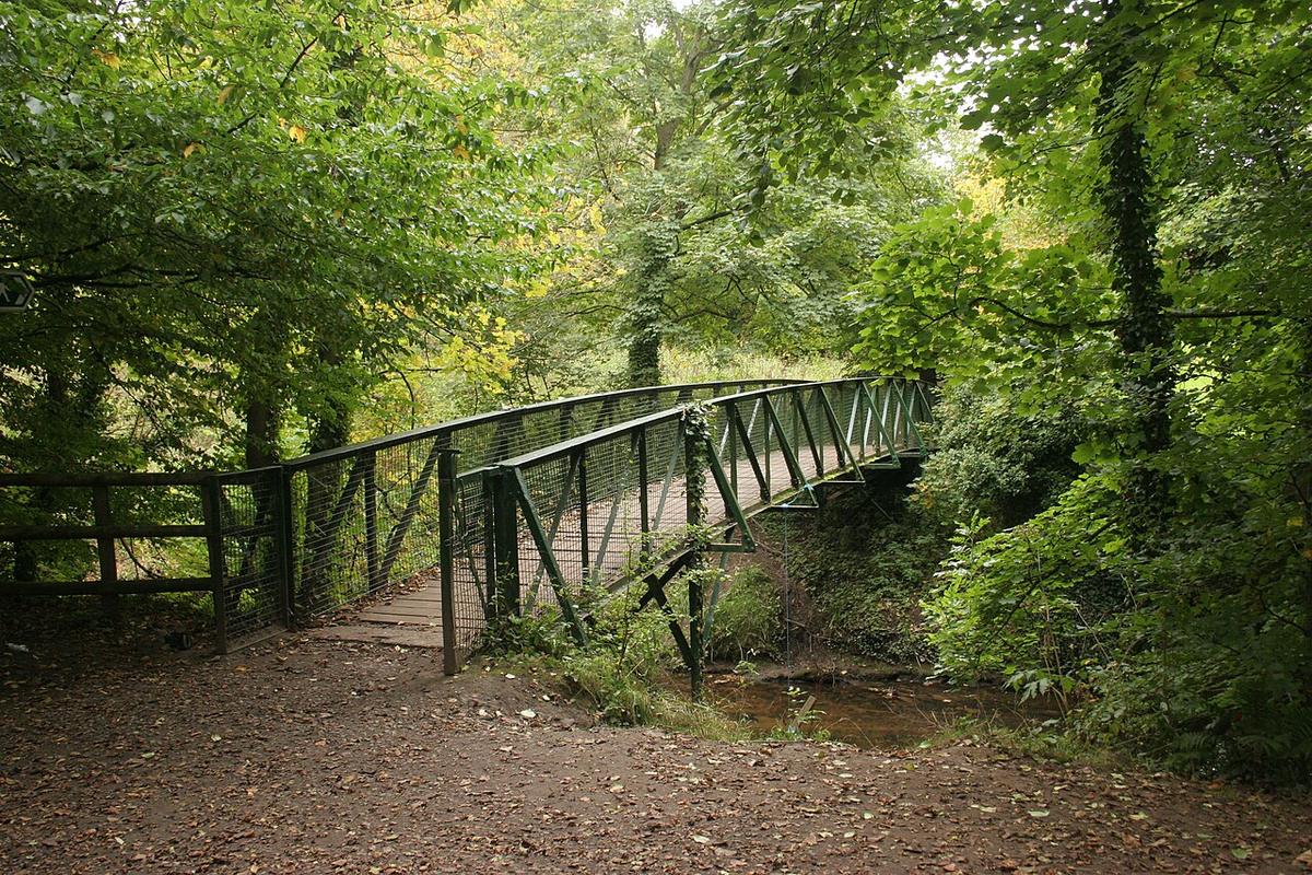 Bollin Valley walk