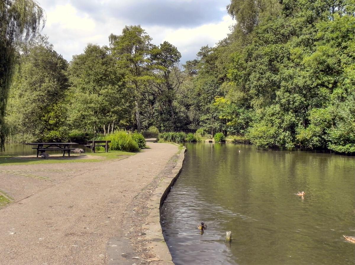 Bramhall step-free saunter