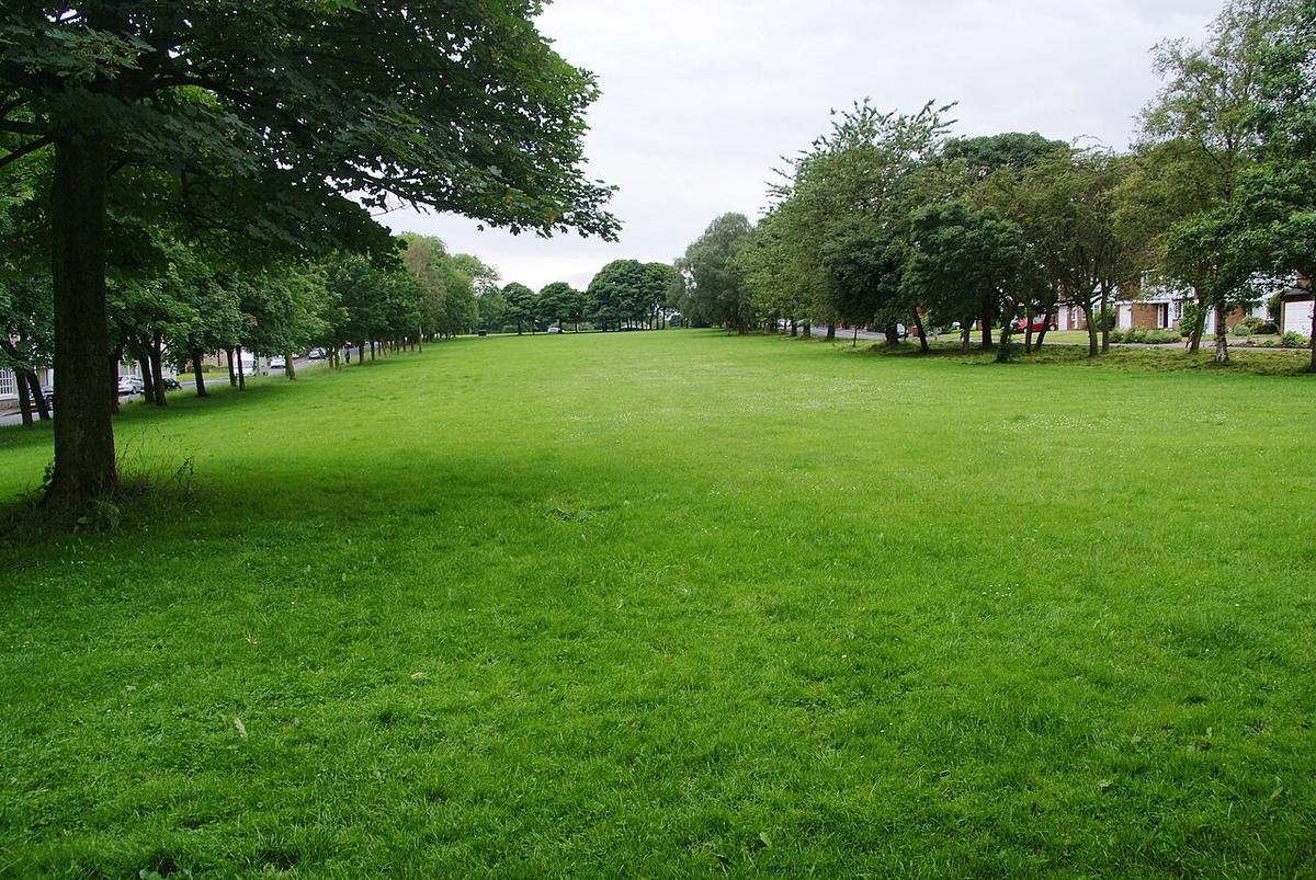 Cronkeyshaw Common