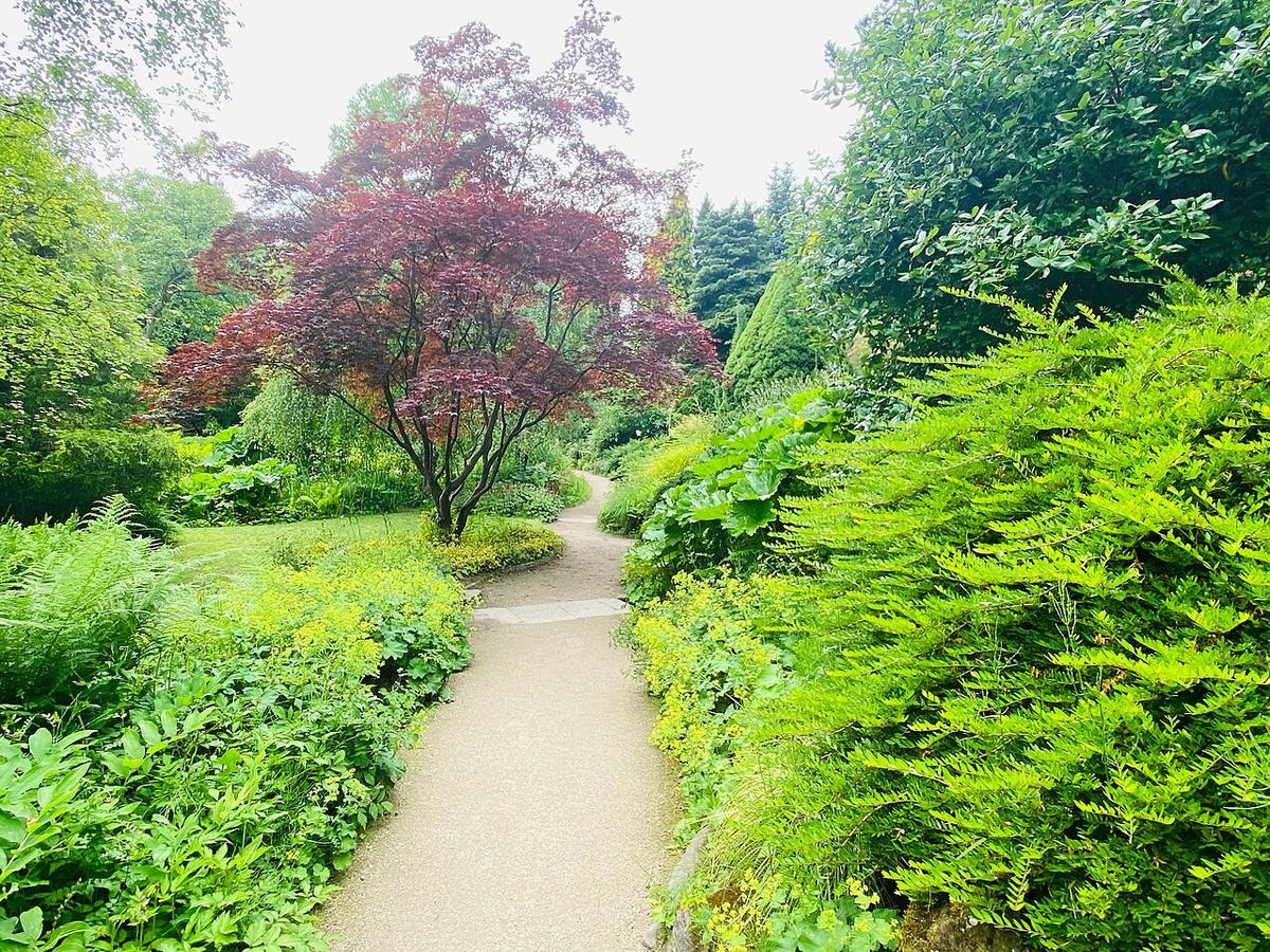 Fletcher Moss Park