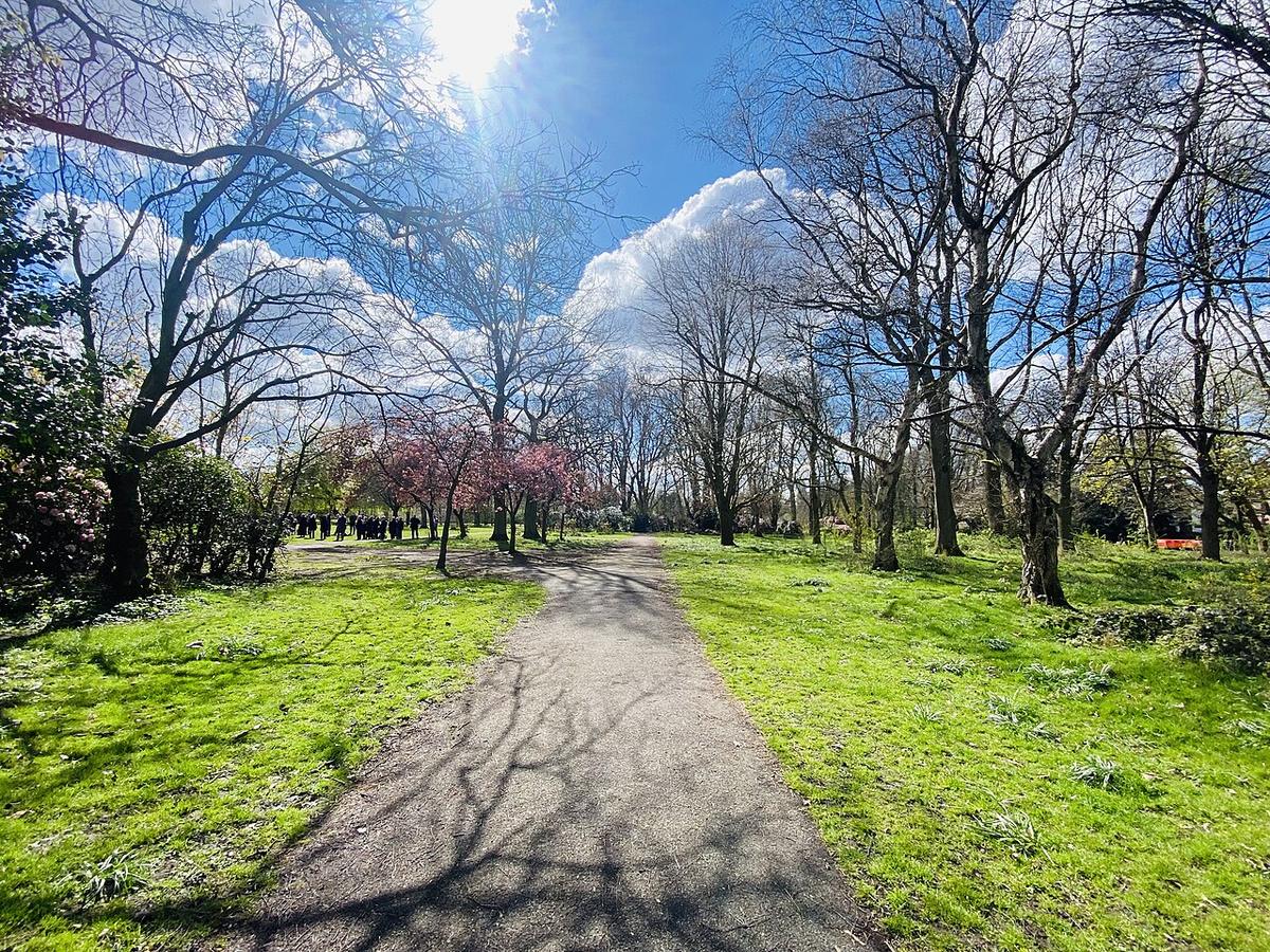 Fog Lane Park